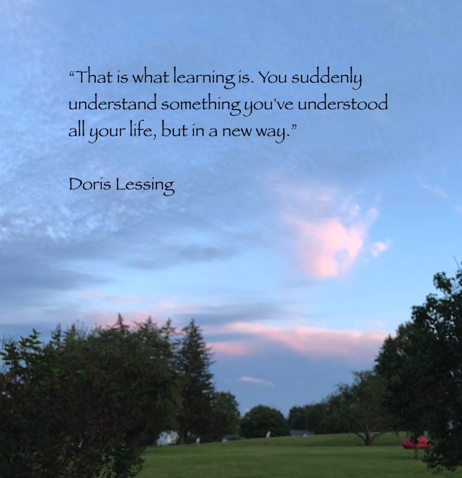 Lessing quote
