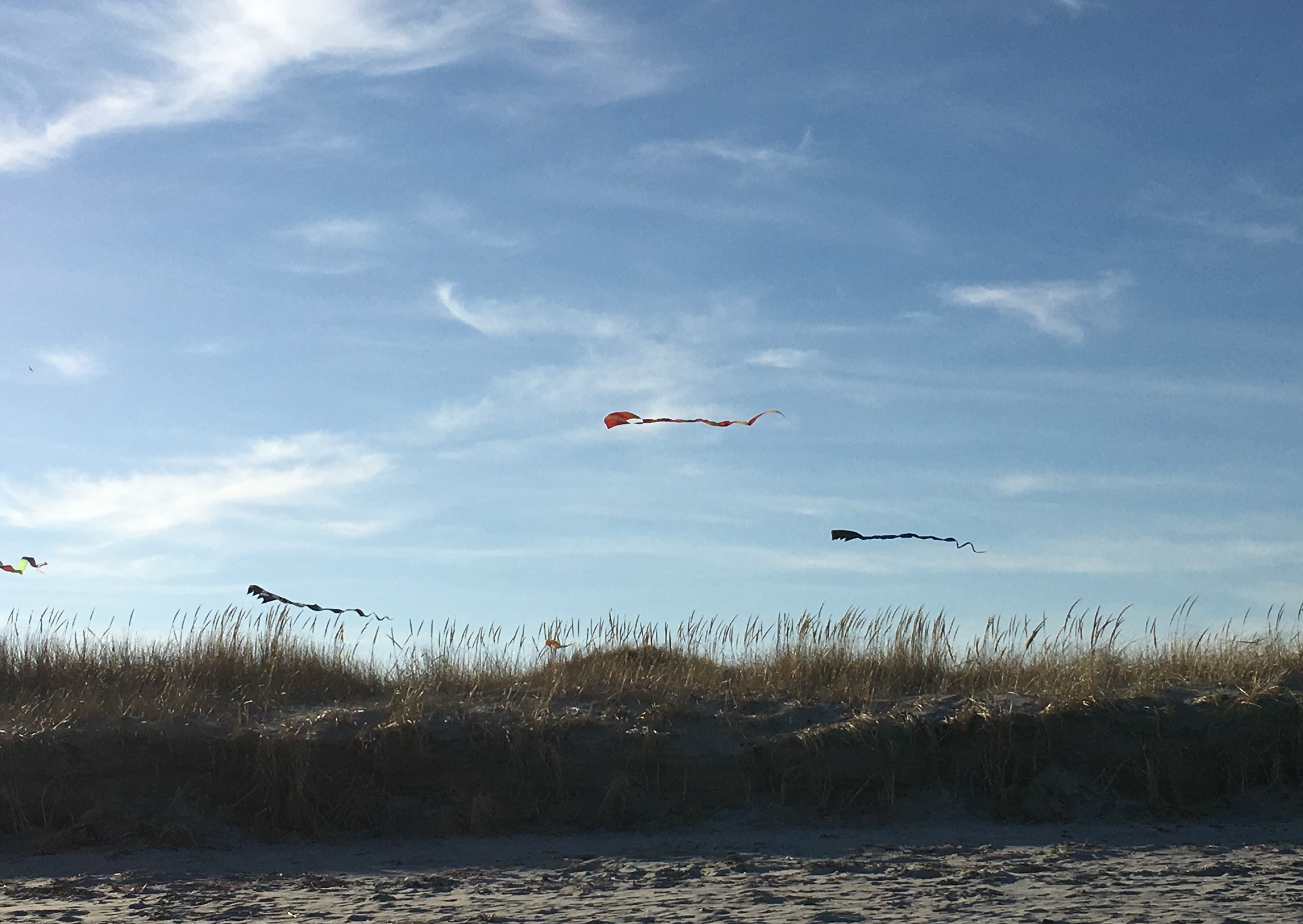 kites