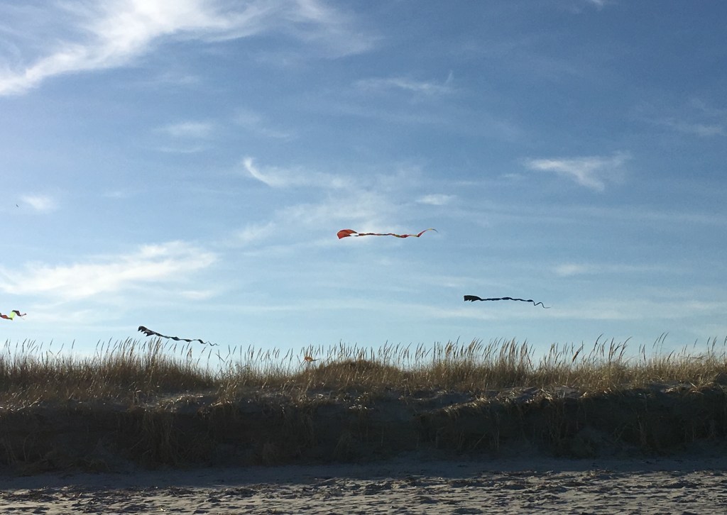 kites