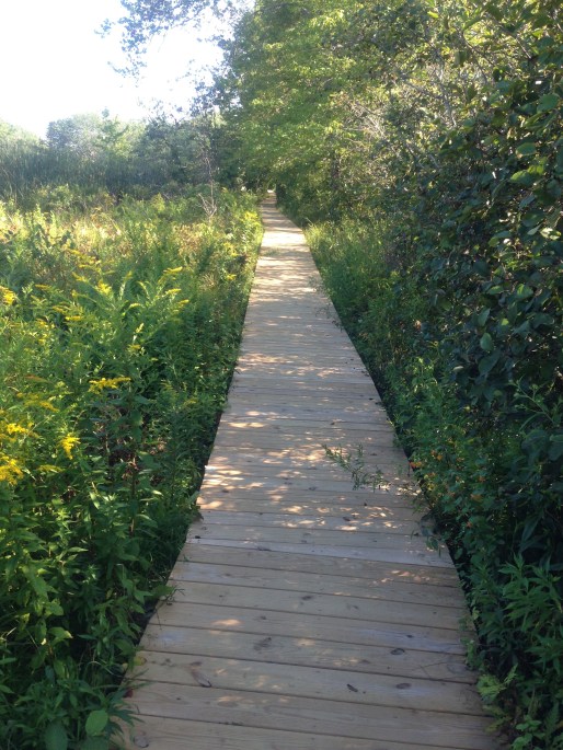 path to beach cape elizabeth
