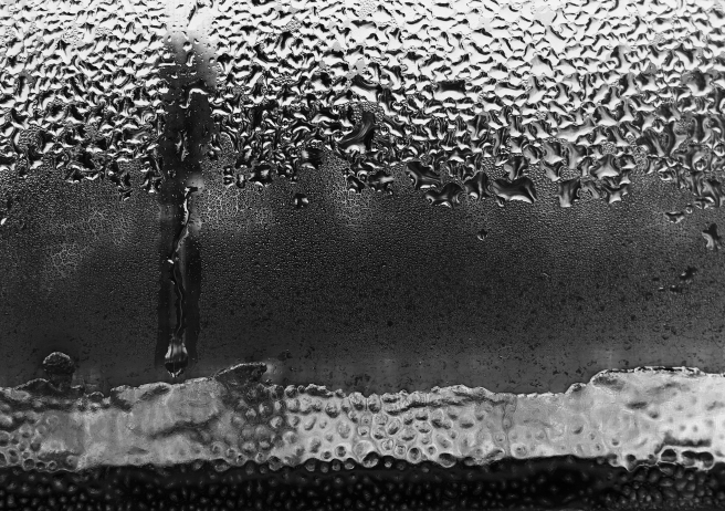 frosty window black & white