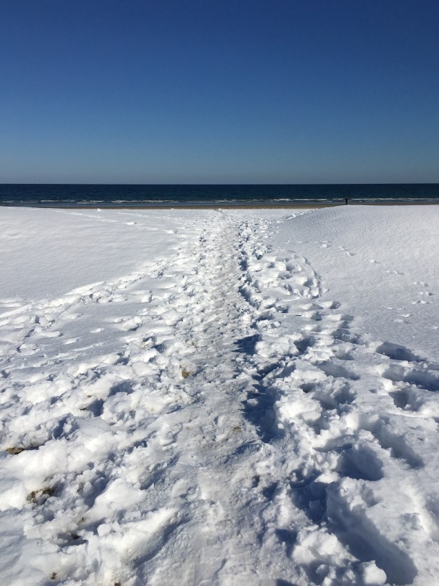 snow beach path