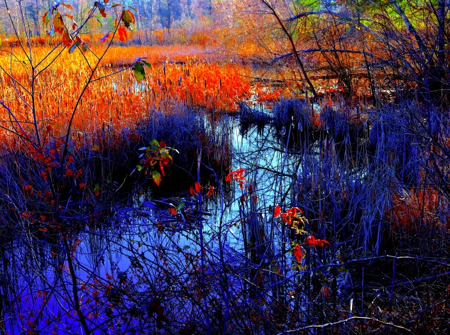 IMG_1487 fantasy copy 2