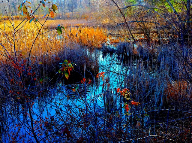 IMG_1487 fantasy copy