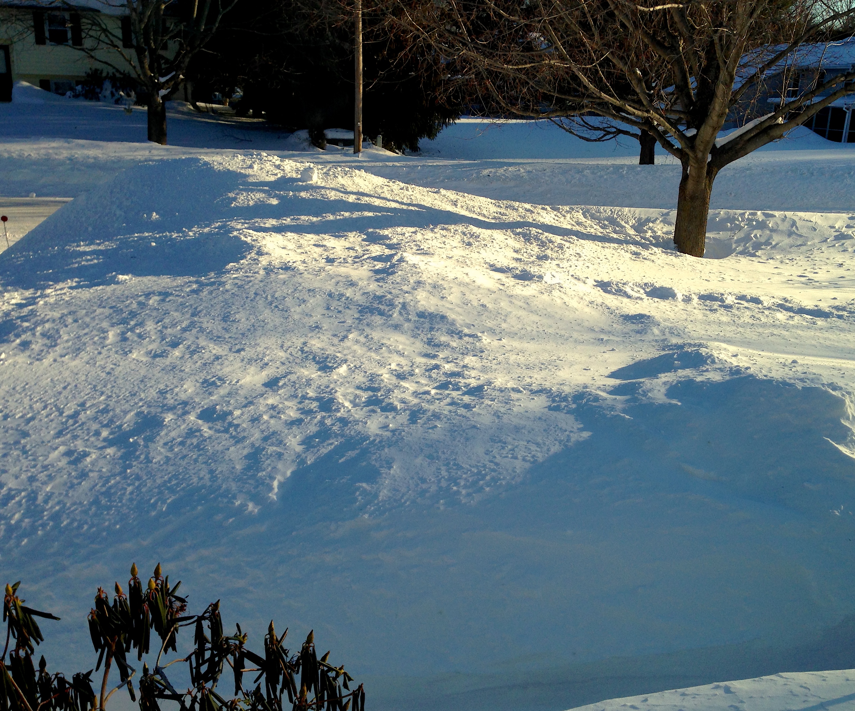 snowbank