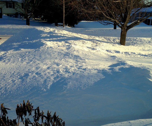 snowbank
