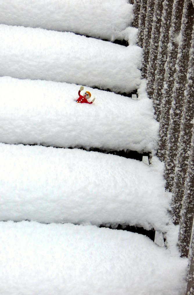 snowy steps