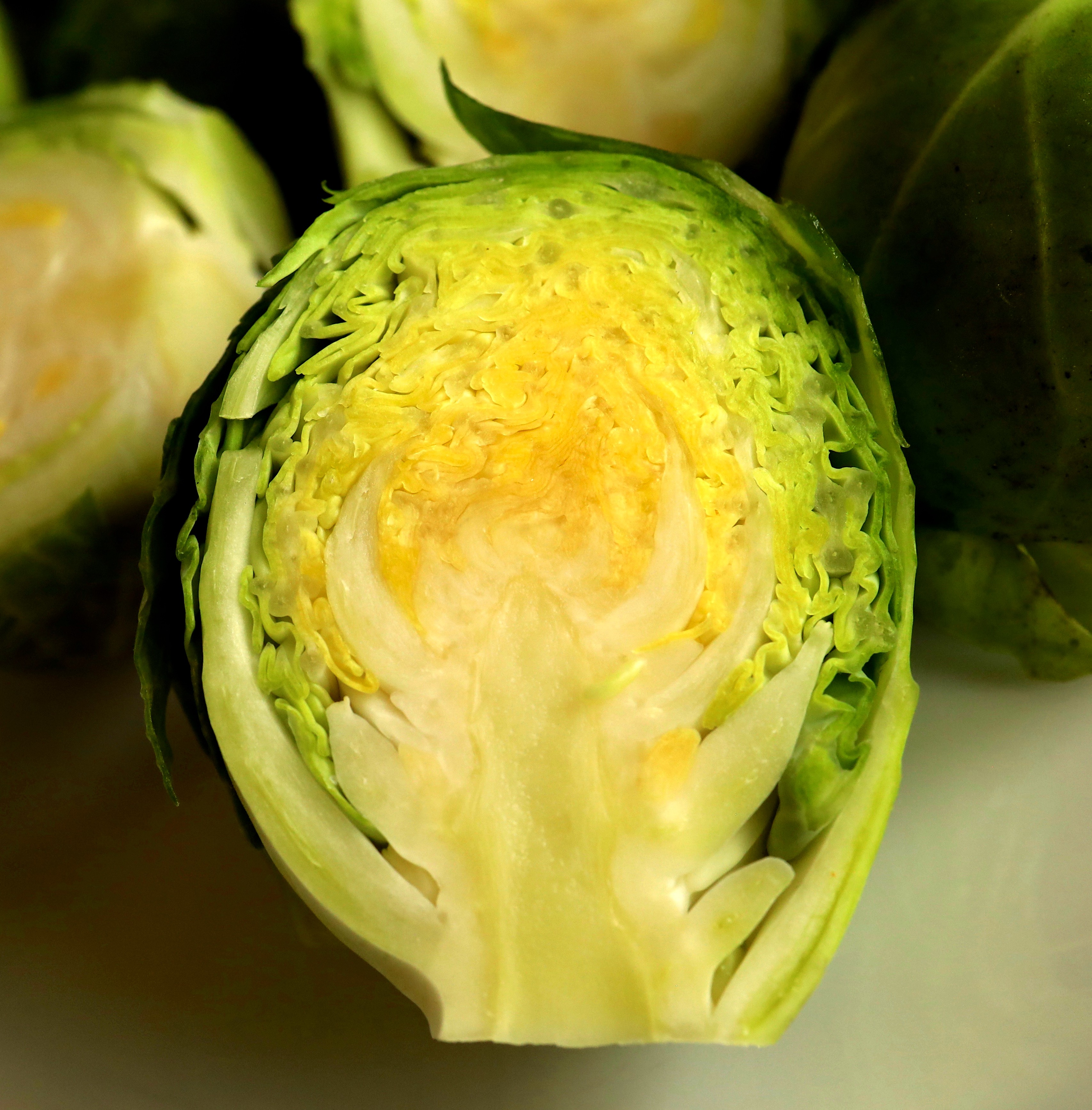 brussels sprout