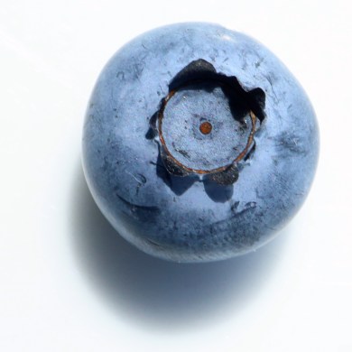 single blueberry