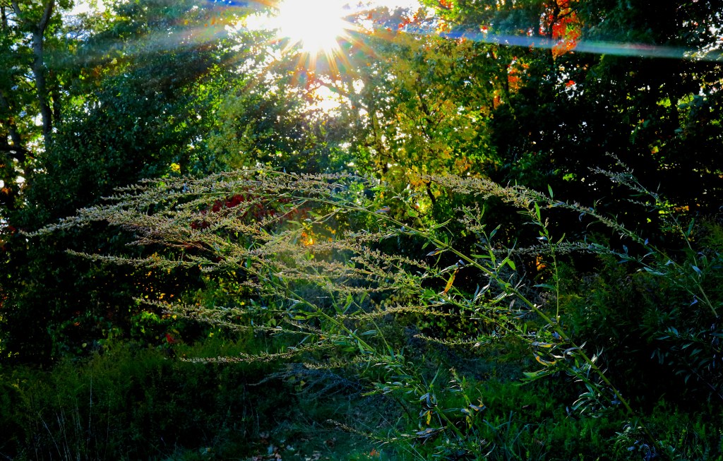 This image has an empty alt attribute; its file name is illumination.jpg